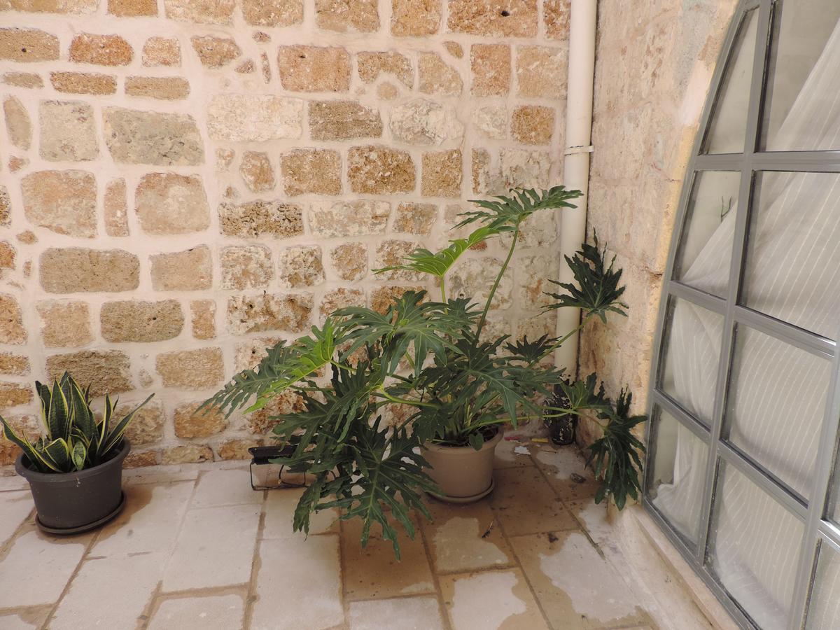 Vila The Sultan House Akko Exteriér fotografie